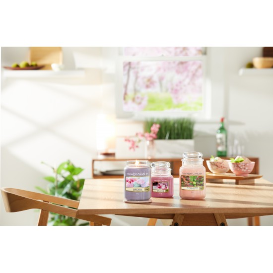 Candela media Sweet Plum Sake Candela media Sweet Plum Sake