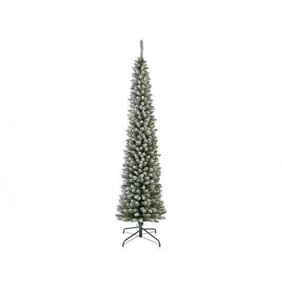 Albero Pencil pine snowy 210cm